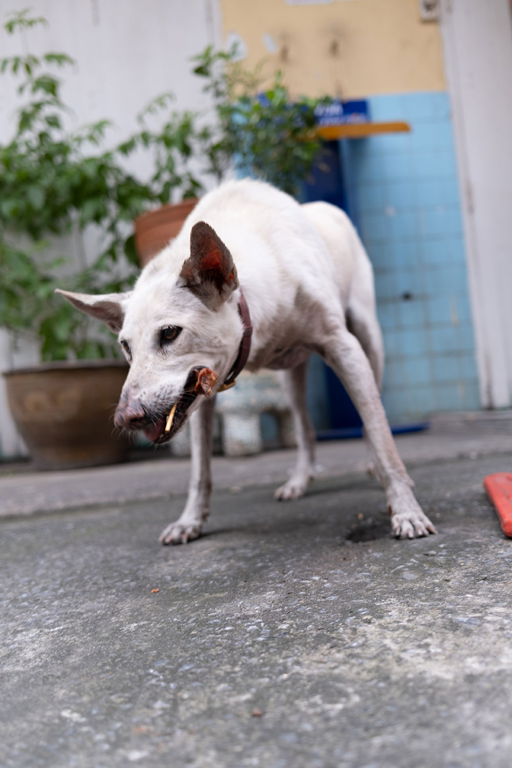 Photography_FlorianStumpe_Thai_07